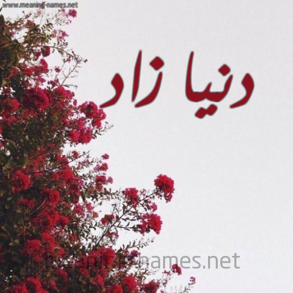 شكل 18 صوره الورد الأحمر للإسم بخط رقعة صورة اسم دنيا زاد Donia-Zad